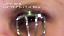 The Best False Eyelash Lash or Lashes Makeup Tutorial