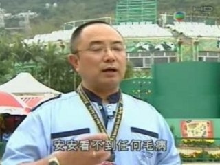 New Pandas for HK Part 2