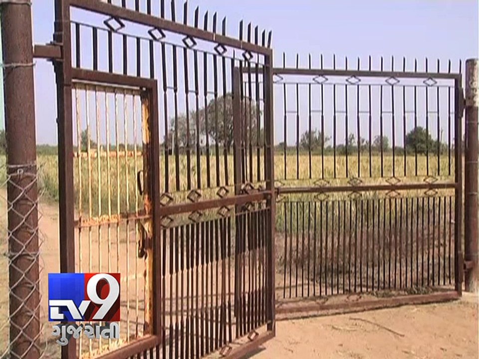 Cash crops on land allocated for fodder - Tv9 Gujarati