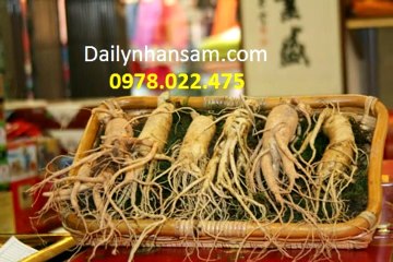 Cách sử dụng nhân sâm Hàn Quốc đặc biệt mà ít người biết tới