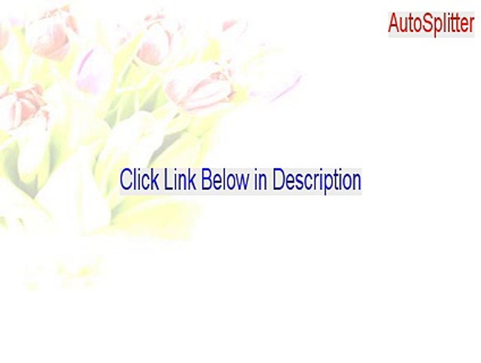 Autosplitter Autosplitter