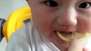 A cute Baby licking Lemon
