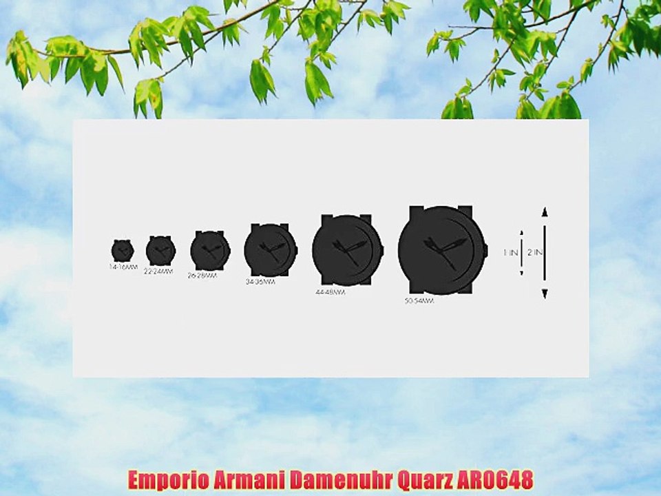 Emporio Armani Damenuhr Quarz AR0648