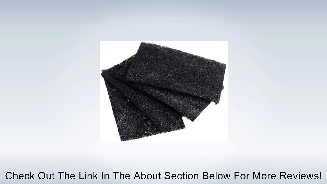 Holmes Carbon Filters HAPF60, Filter C, 4 Pack Review