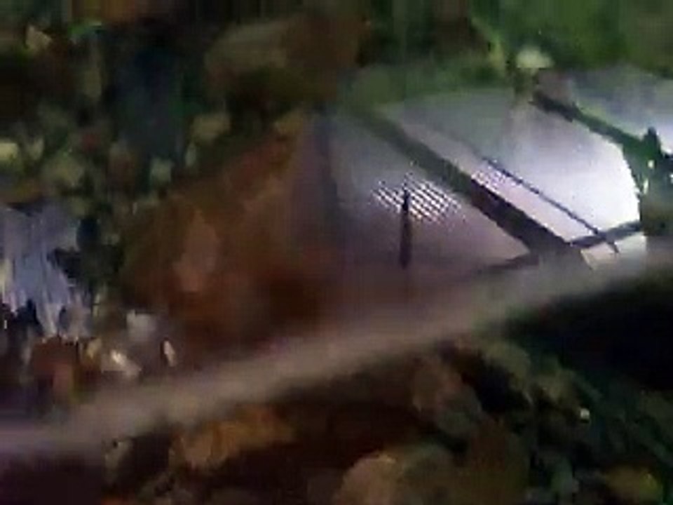 カミツキガメ（水族館、深海、ペット、海、動画、魚、生物）