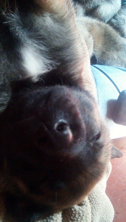 Be Aware H's @ Zzzz - Part 2