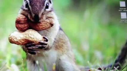 17 Annoying Moments That Make You Cringe