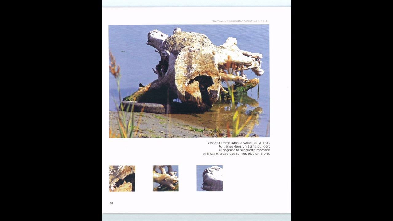 ©HDdiaporama du livre Lumières dans l'objectif photos&photos-peintures ANCIAUX MARTINE créatricedelaphoto-peinturemondetvweb©