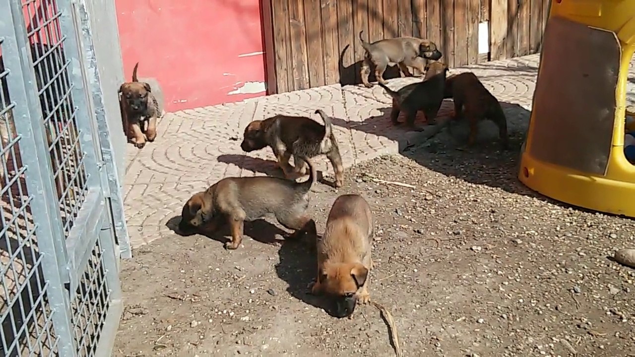 Der erste Ausgang der Be Aware H's!