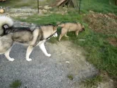 Ca se passe comme ça à la maison