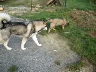 Ca se passe comme ça à la maison