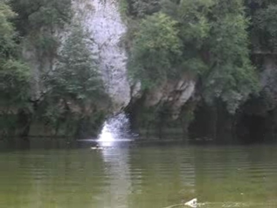 Saut skalop