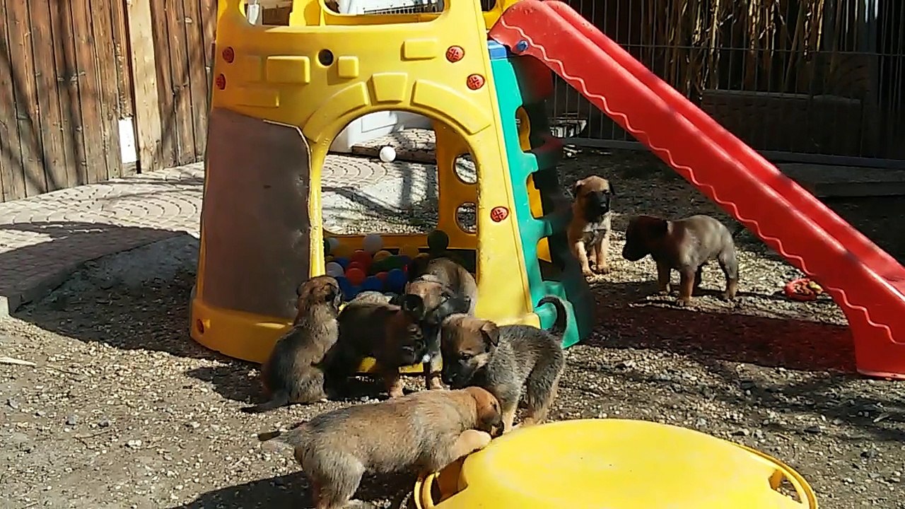 Be Aware H's @ First time out!