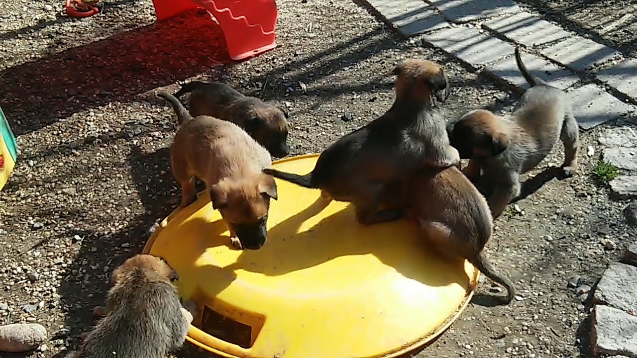 Be Aware H's @ 3,2,1...Let's GO!