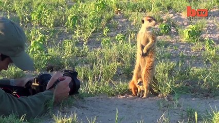 Amazing   Photographer In Forest With Aminals