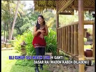 RAI WADON lina elya @ lagu tarling