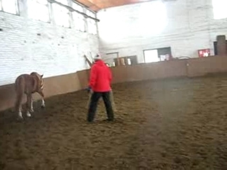 Tarja and Vunu working on the ground