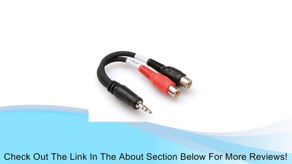 Hosa Cable YRA154 Stereo 1/8 Male to Dual RCA Female Y Cable - 6 Inch Review