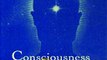 Download Consciousness in Philosophy and Cognitive Neuroscience ebook {PDF} {EPUB}