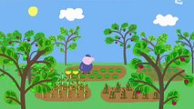 Peppa Pig - Les petites bêtes (HD) // Dessin-animés complets pour enfants en Français