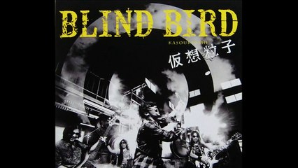 BLIND BIRD ''Hi-lite''