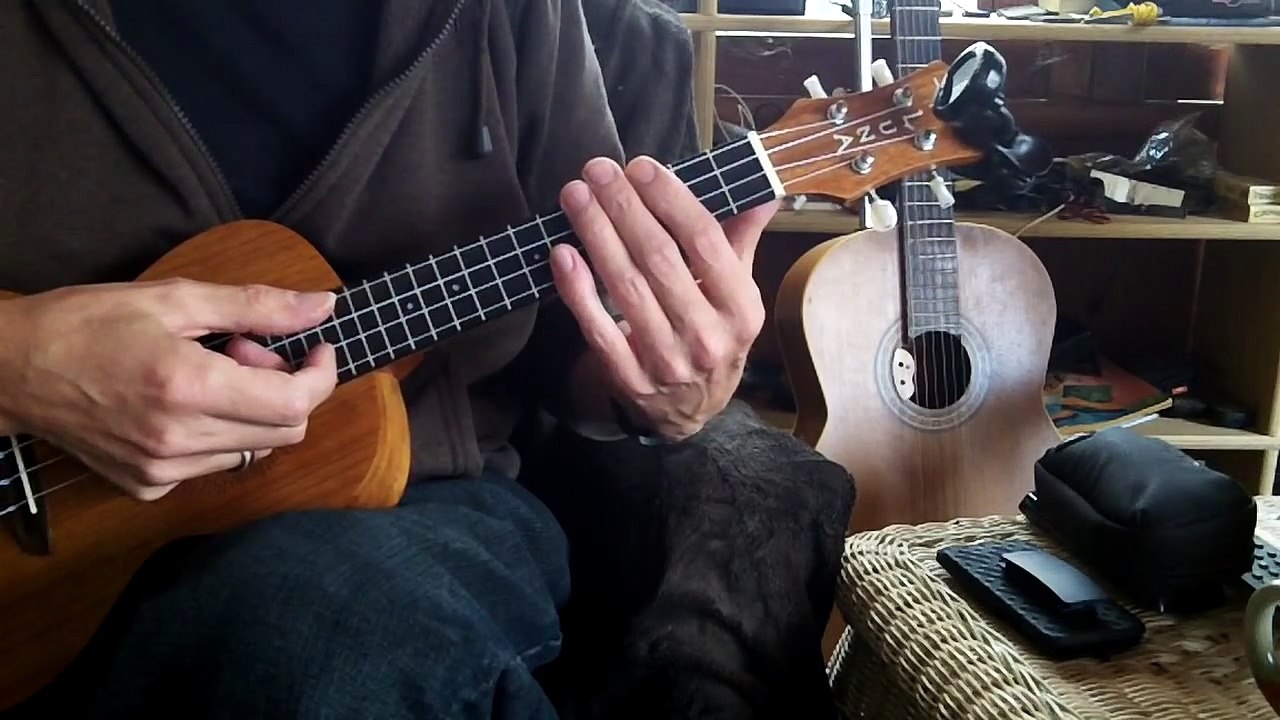 How To Play The Tango On A Ukulele Lesson video Dailymotion