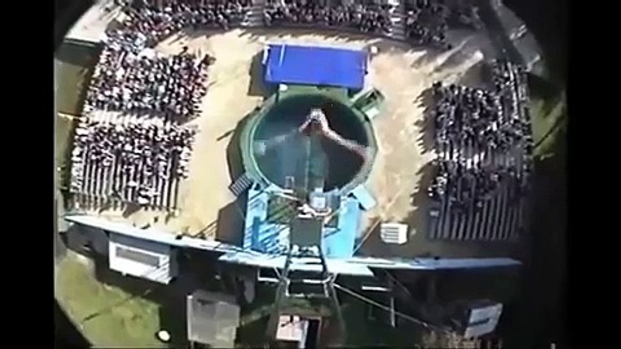 Amazing athletes for ever. every thing is possible