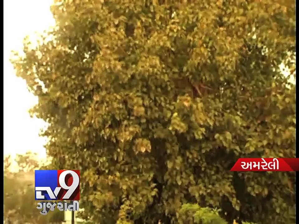 Unseasonal showers in parts of Gujarat - Tv9 Gujarati