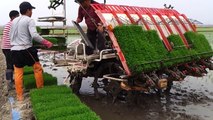 Rice planting machine [Xe cấy lúa]