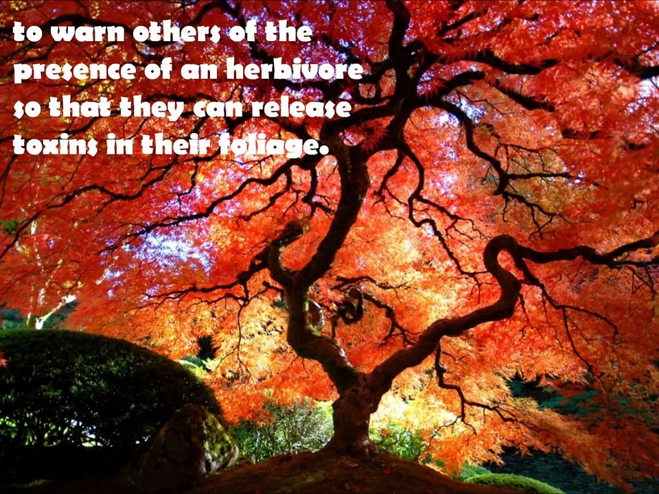 Science s 20 Most Unbelievable Truths