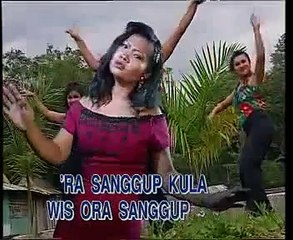 TAKUT SENGSARA sonia sonjaya @ lagu tarling
