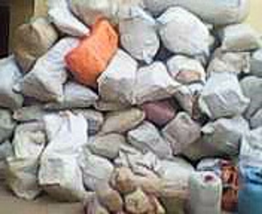 Prise de chanvre Comzone Ziguinchor  Sénégal (l'Armée Sénégalaise Zone Militaire Numéro 5)