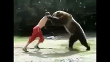wrestling with bear這隻熊的脾氣真好