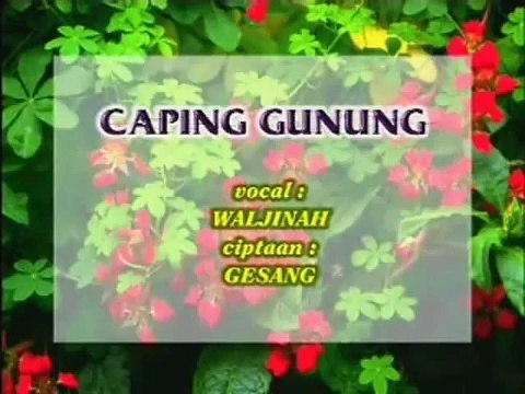 Caping Gunung