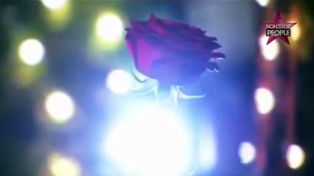 Le Bachelor : le tournage de la saison 3 sur NT1 stoppé par le gentleman célibataire !