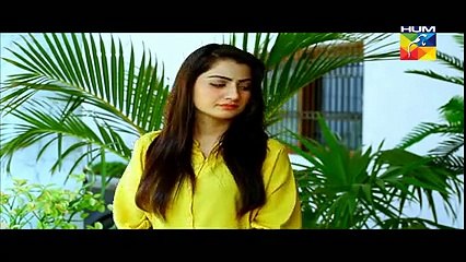 Sartaj Mera Tu Raaj Mera Episode 12 Full 12 March 2015 HUM TV - Dramas Online