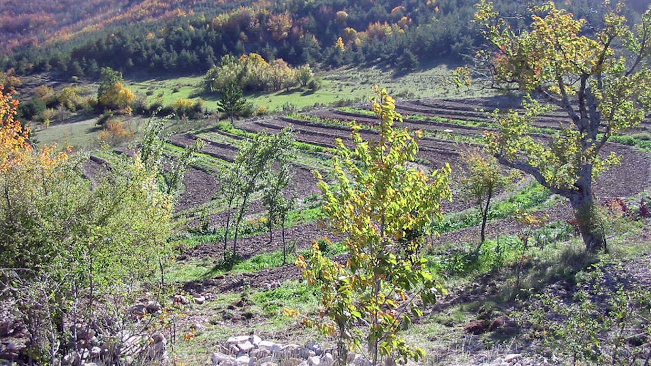 Alpes du Sud: une communauté de Jansiac "visionnaire" pour certains, "sectaire" pour d'autres