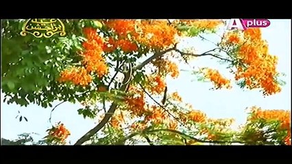 Kaneez Episode 11 - APLUS