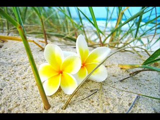 درد کیا ہوتا ہے بتائیں گے کسی روز