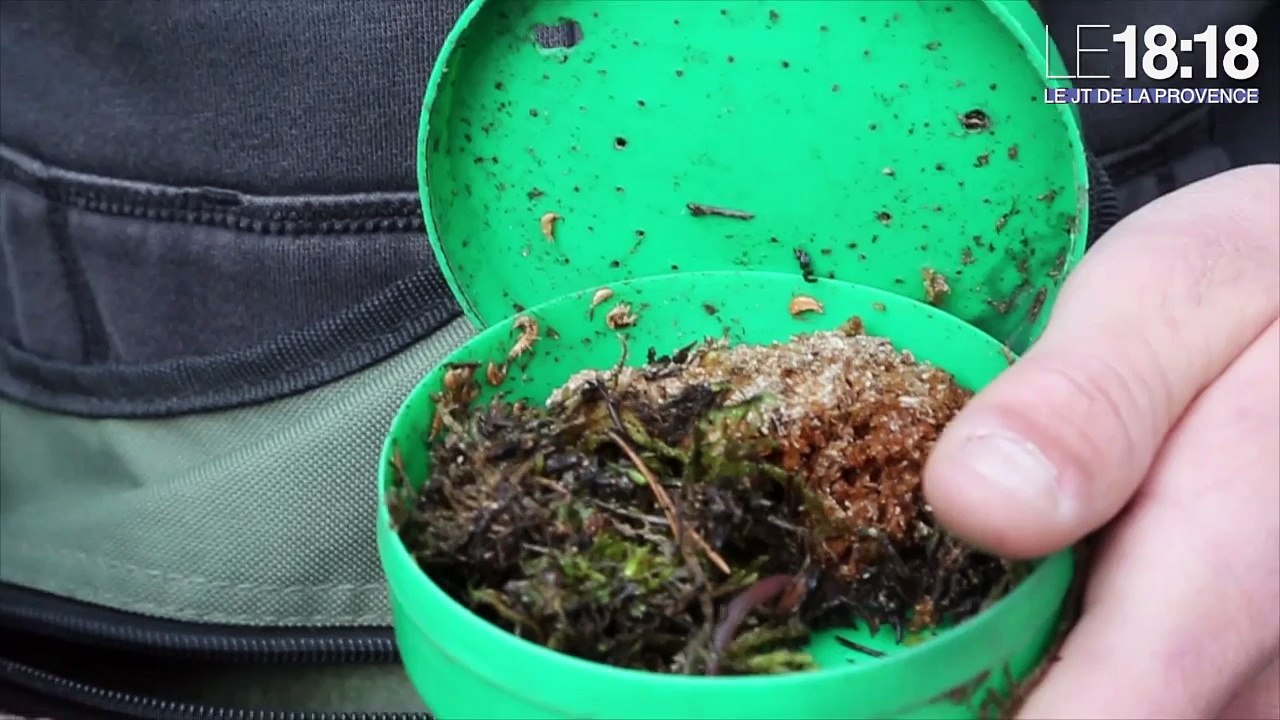 La pêche à la truite fario ouvre samedi
