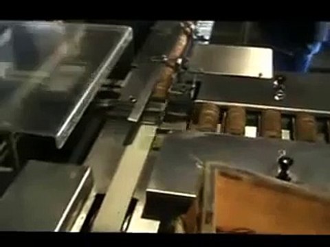 Family Pack BISCUIT PACKING MACHINE..benzler machinery products