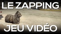 Le Zapping Jeu Vidéo : ne faites jamais peur à un chat dans GTA V sinon...