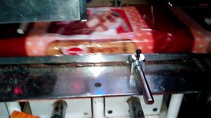 TOAST PACKING MACHINE MANUEL.benzler machinery products