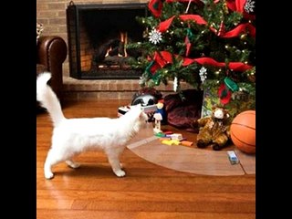 PET-S3016 Scat Mat Electronic Pet Training Mats 30 16 inch