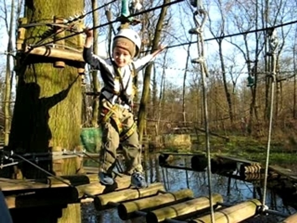 D'un arbre à l'autre...