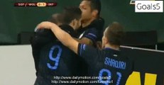 Rodrigo Palacio Goal Wolfsburg 0 - 1 Inter Europa League 12-3-2015