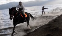 horse surfing greece HD