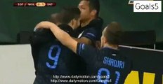 Rodrigo Palacio Goal Wolfsburg 0 - 1 Inter Europa League 12-3-2015