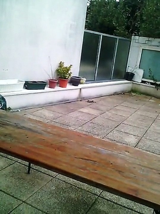 ORBE