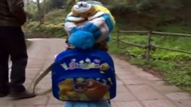 Mira al perro que camina en dos patas y lo confunden con un niño